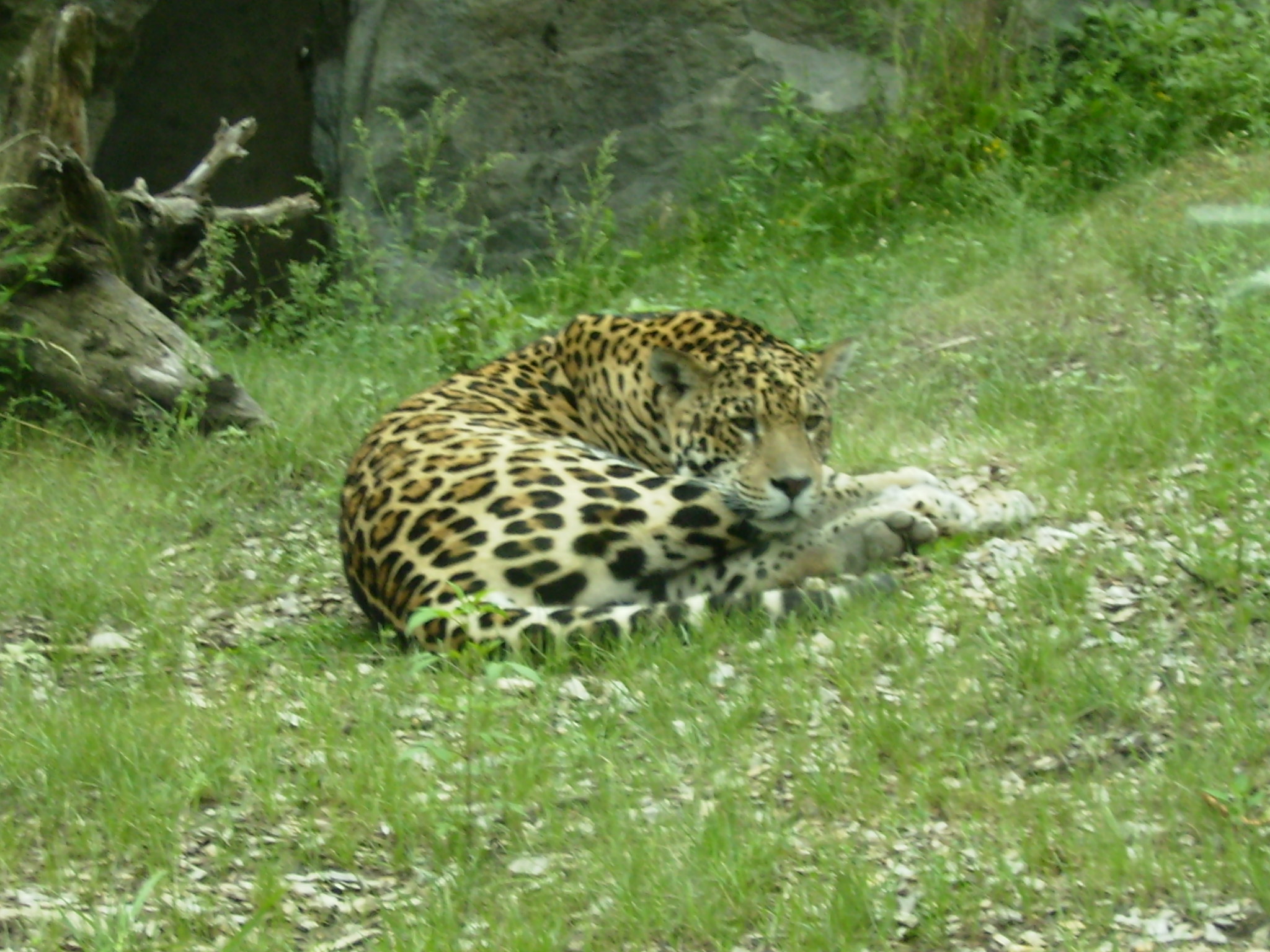 P8060024.JPG